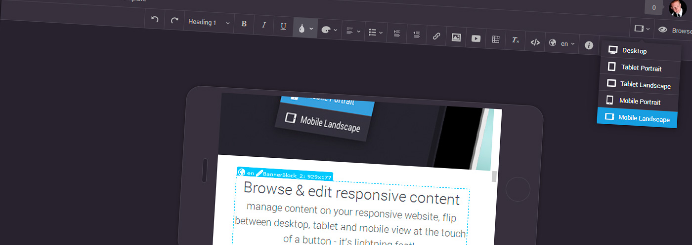 Browse and edit responsive web content